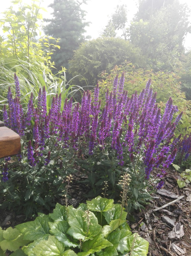 W promieniach słońca