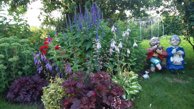 Warstwowa, kolorowa rabatka z dziadkami  w tle