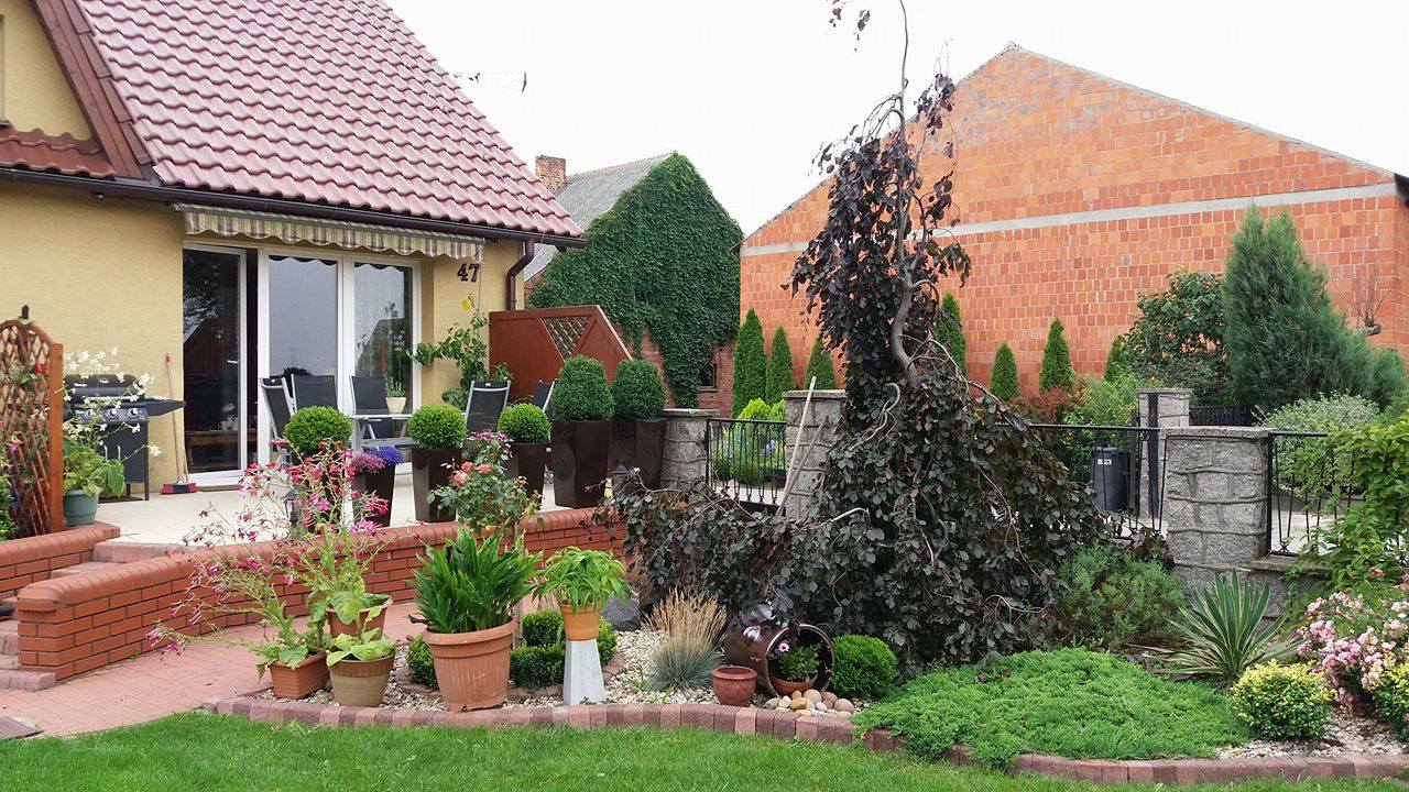 Widok na buk fontannowy z tarasu