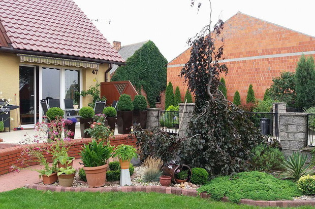 Widok na buk fontannowy z tarasu