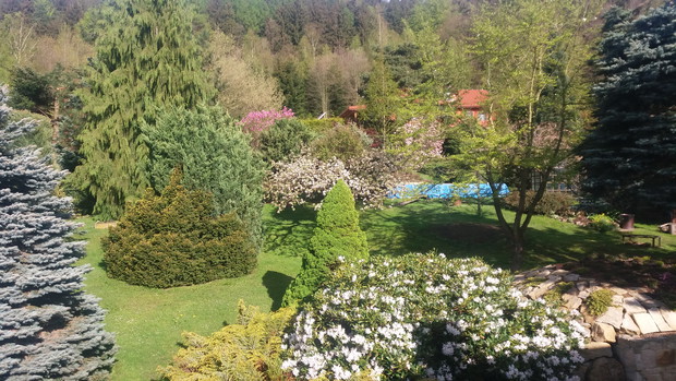 widok z okna-balkonu