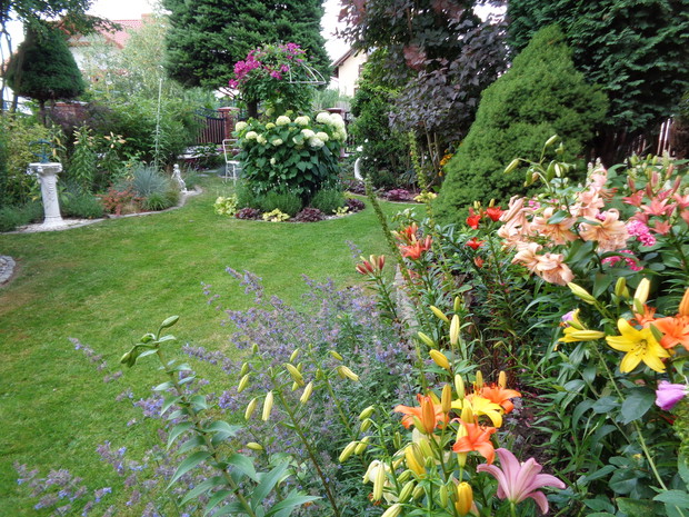 Więc jeśli kochasz kwiaty, pozwól im być " ja tak zrobiłam...