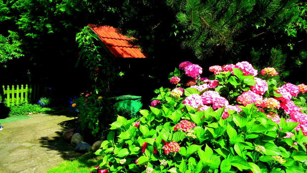 Wokół studni tez kolorowo.