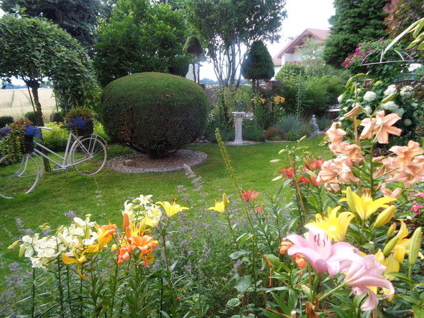 Z miłości do roślin, natury, promieni słońca i przechadzając codziennie w ogrodzie spotykam urocze kwiaty lilie, róże..... 