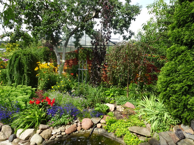 Za oczkiem nowo założona rabata po wycięciu chorego jałowca płożącego.