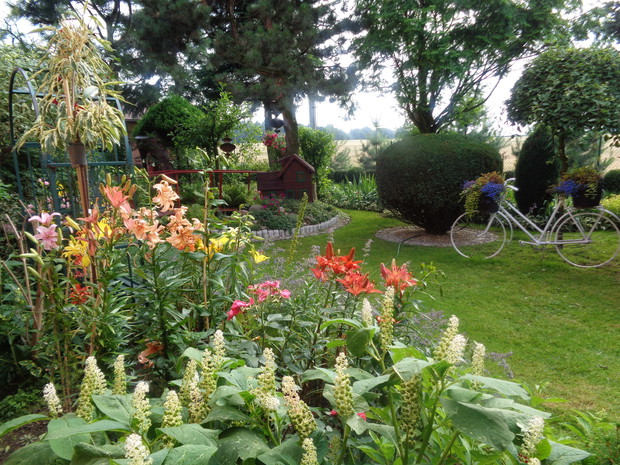 Zachodnia część ogrodu najmilsza dla mnie.