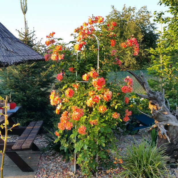 zaciszny zakątek wiejski