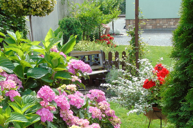 Zakątek wypoczynkowy przy hortensji ogrodowej.