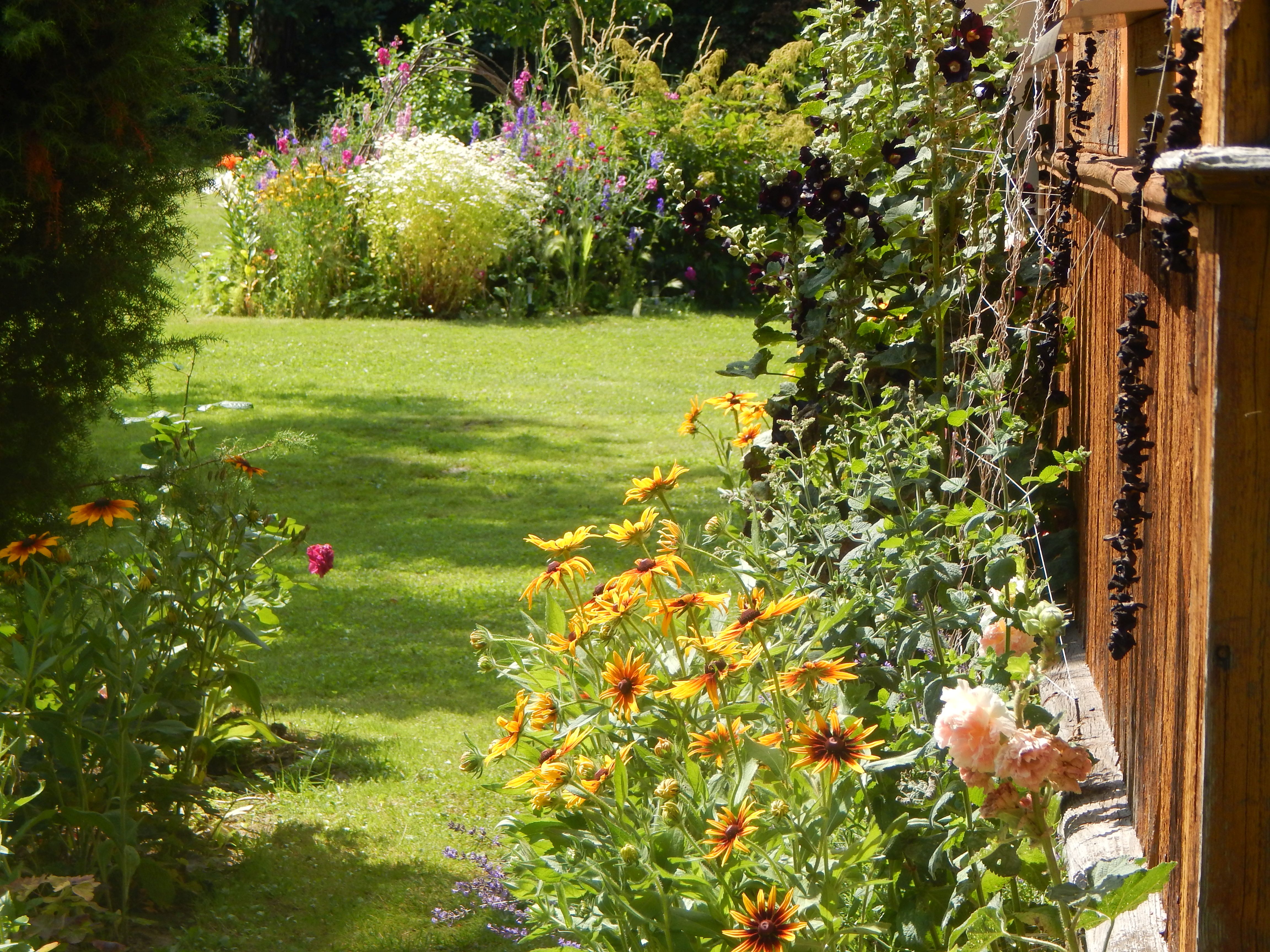 Zapraszam...ścieżyną wąską na południowej stronie domu...