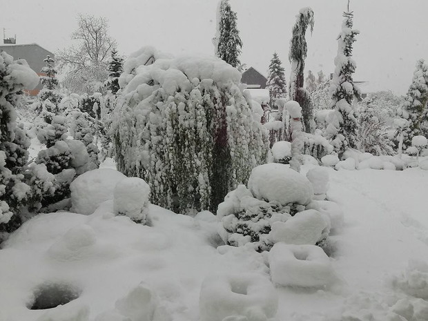 Zdjęcie zostało wykonane 21 kwietnia bieżącego roku. Śnieg chyba wszystkich zaskoczył ale widok z okna bajeczny.