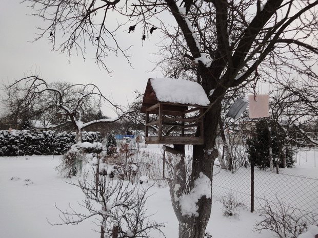 Zima też ma swój urok w ogrodzie