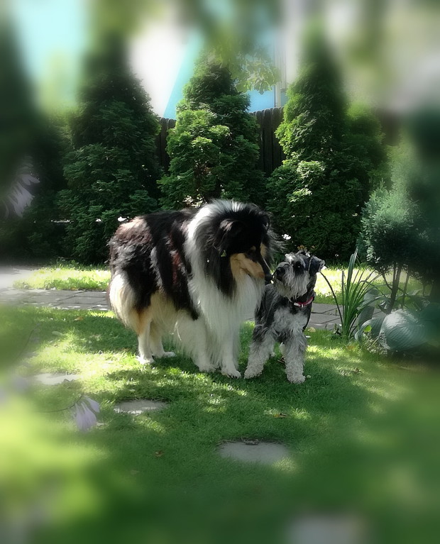 zwierzęta też lubią przebywać w ogrodzie