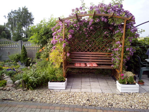 Altanka pięknie obrosła różą pienną