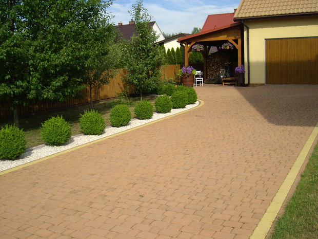 Bukszpany czekające na strzyżenie