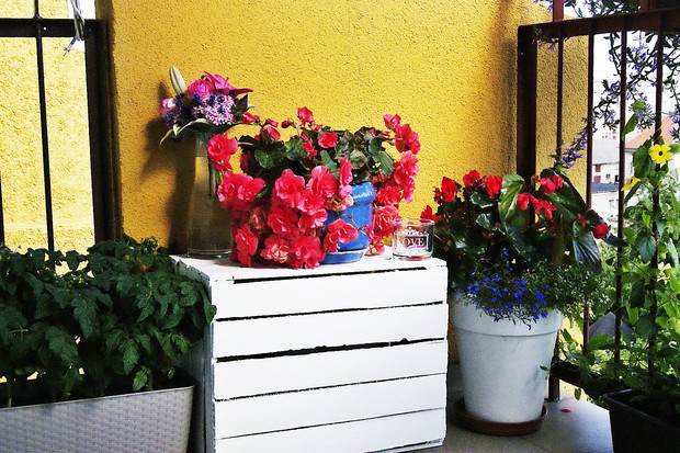 Co jakiś czas zmieniam dekoracje