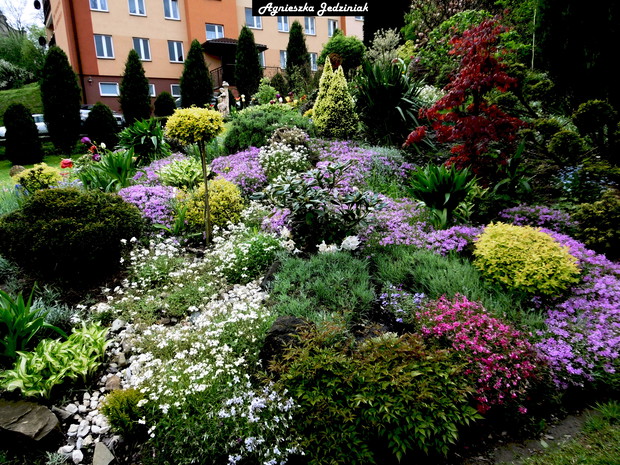 Dywan utkany z wiosennych kwiatów.