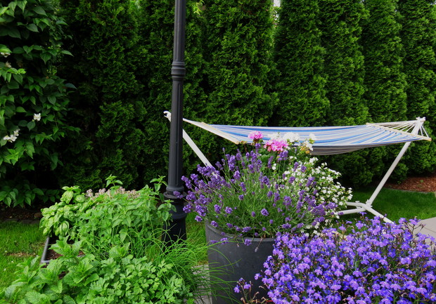 Hamak – jest to nasze idealne miejsce relaksu, z jednej strony osłona z iglaków, a obok donice z pachnącą lawendą i ziołami.
