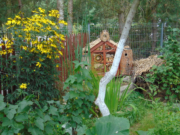 Hotel dla małych gości w ogrodzie warzywnym