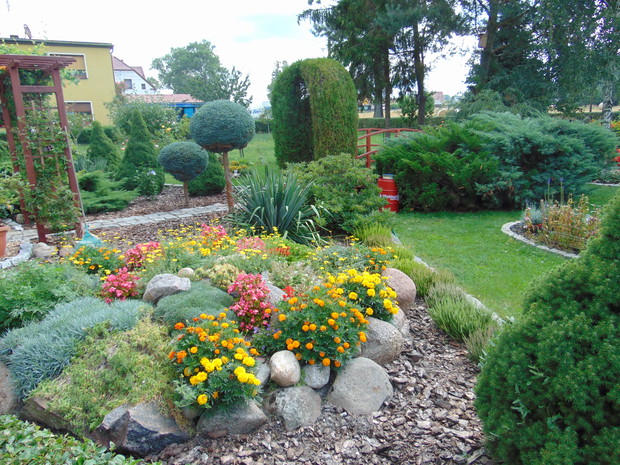 Jeden ze skalniaków