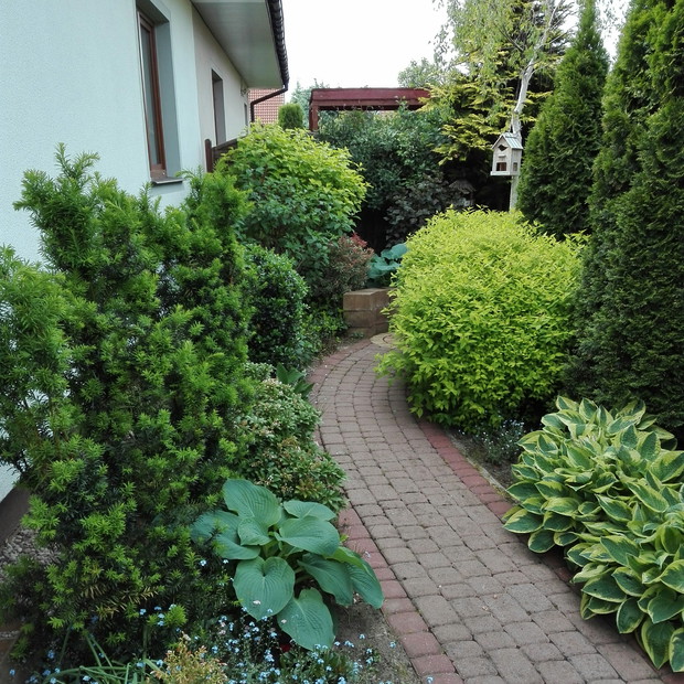 Kącik zadumy na końcu ścieżki za domem.