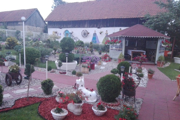 Kompozycja kora połączona z kamieniami