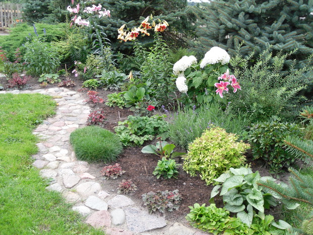 Krzaczasto- bylinowa rabata