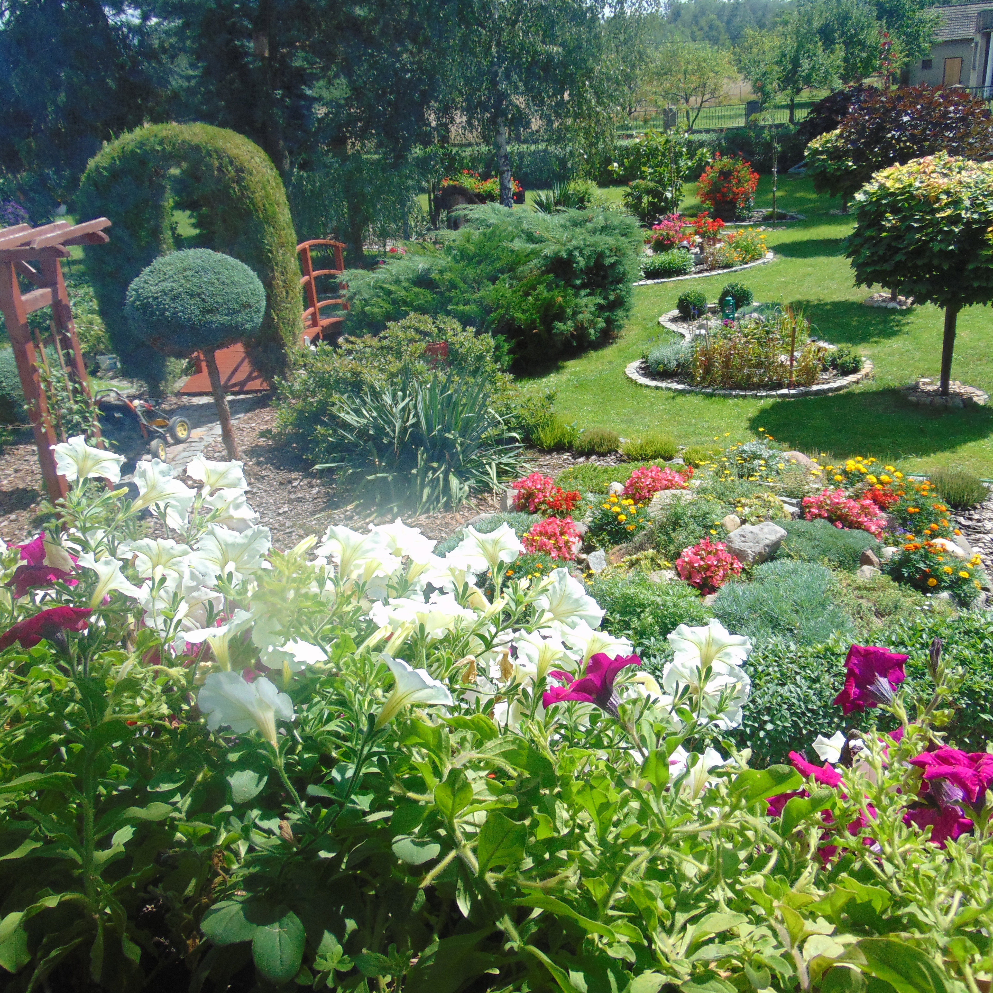 Letni widok z tarasu