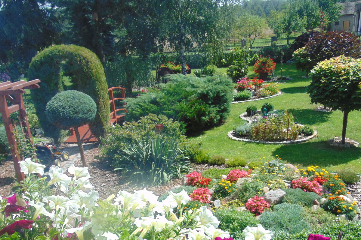 Letni widok z tarasu