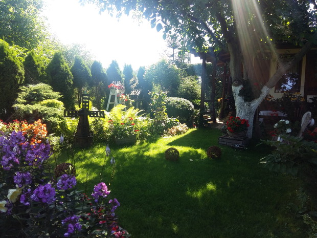 Magia światła o poranku...tajemniczo i przyjemnie zarazem...cenimy sobie taki czas