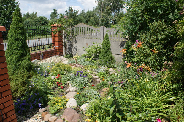 Miał być skalniak wyszły różności