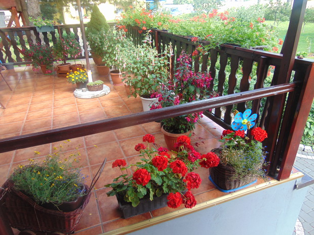 Miejsce odpoczynku - taras