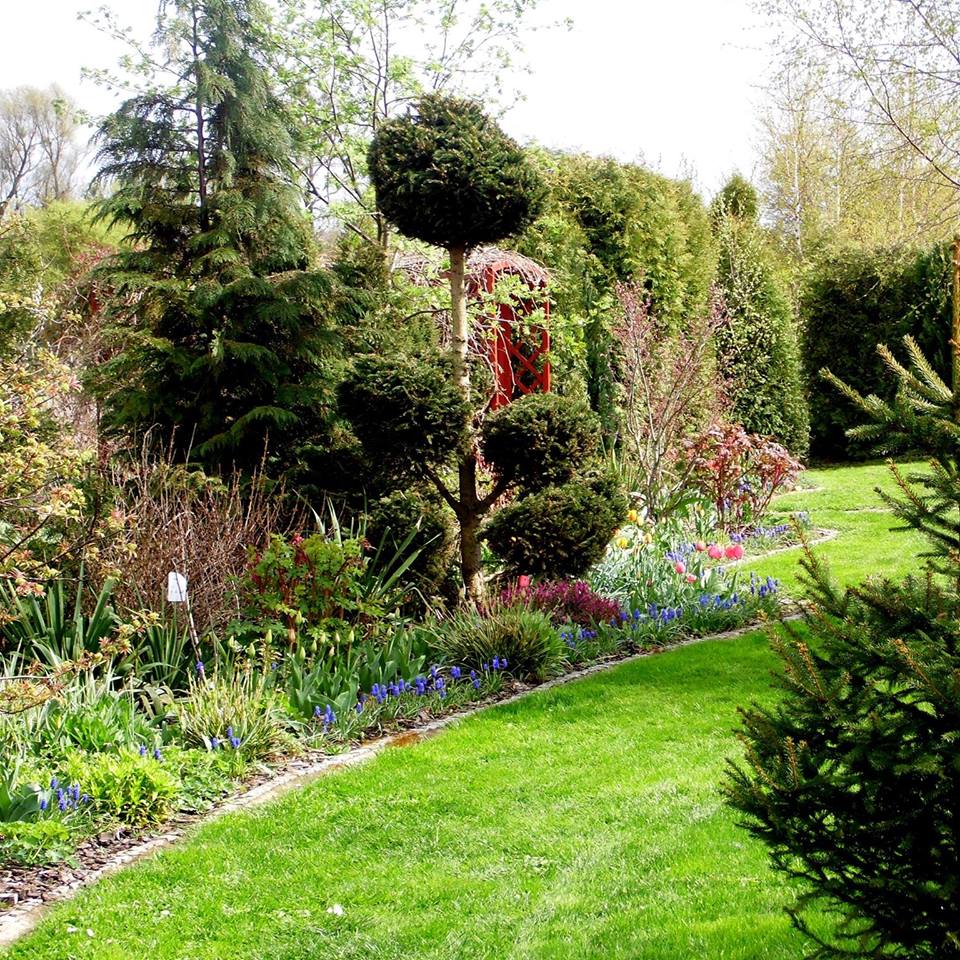 Mój zaczarowany ogród.