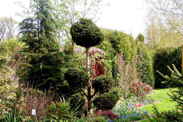 Mój zaczarowany ogród.