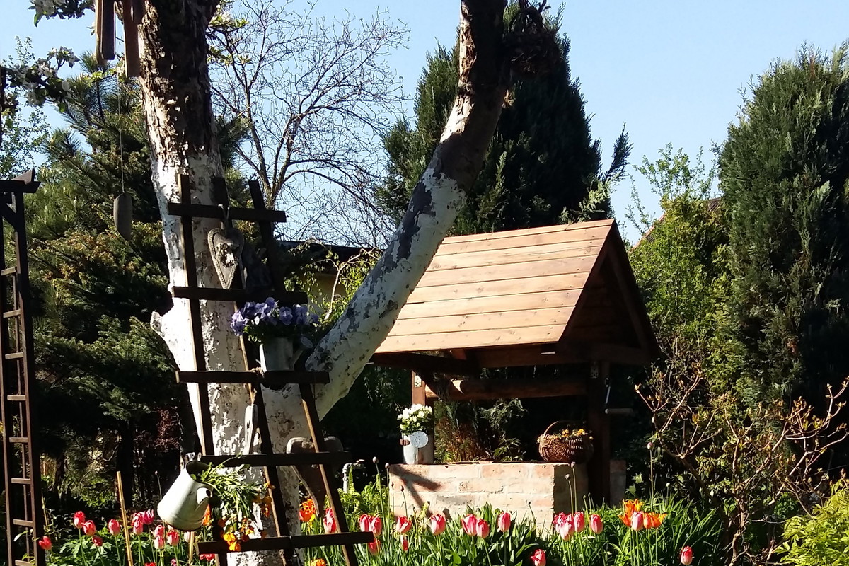 Moja wiosna cebulowymi stoi.Mnóstwo tulipanów,szafirków,narcyzów,pyszni się na rabatach