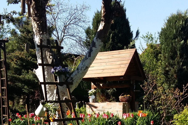 Moja wiosna cebulowymi stoi.Mnóstwo tulipanów,szafirków,narcyzów,pyszni się na rabatach