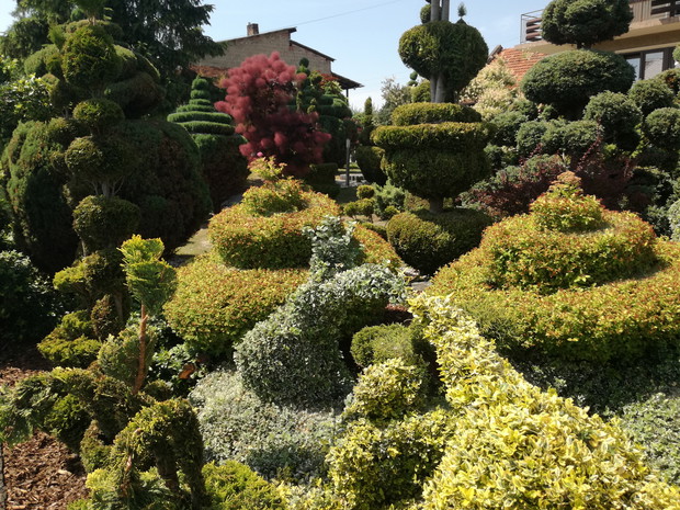 Moje artystyczne dzieła