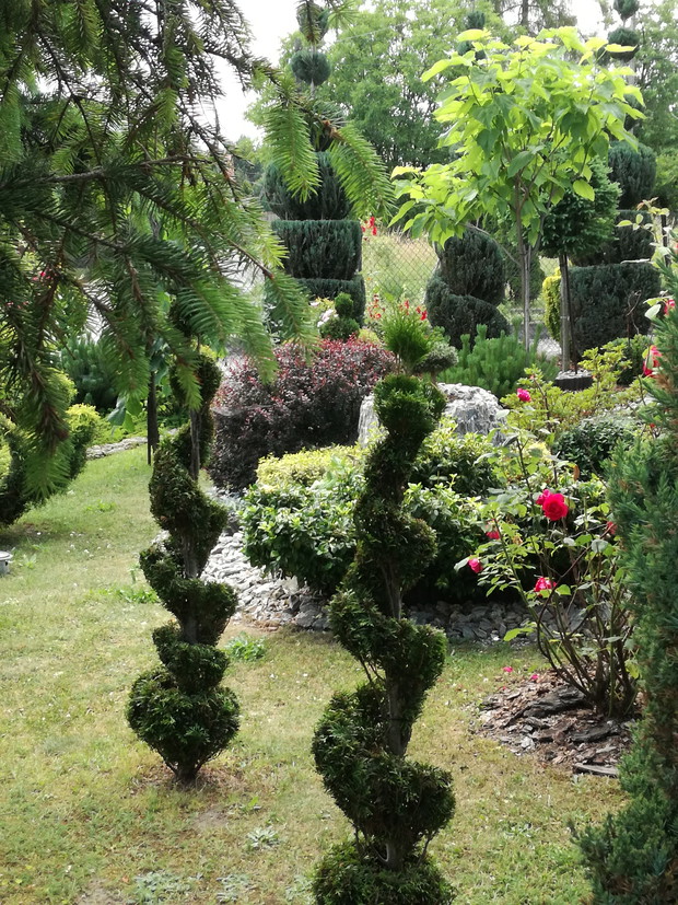 Moje artystyczne dzieła