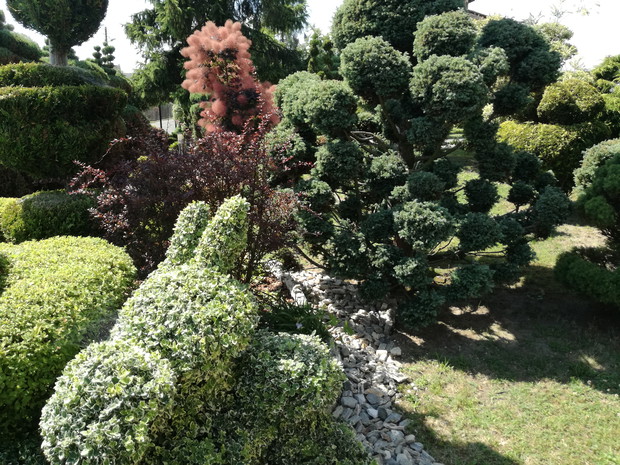 Moje artystyczne dzieła