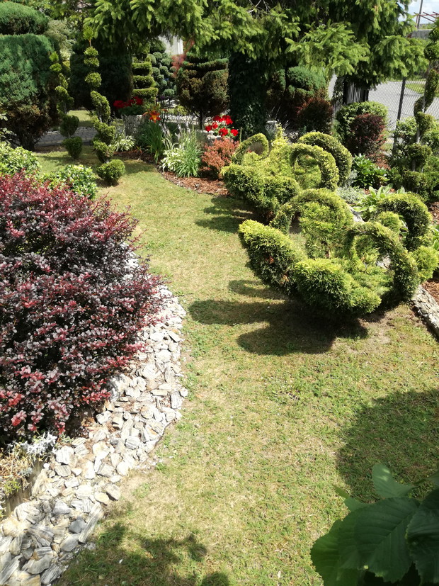 Moje ukochane łabędzie, które przyciągają najbardziej uwagę przechodniów.