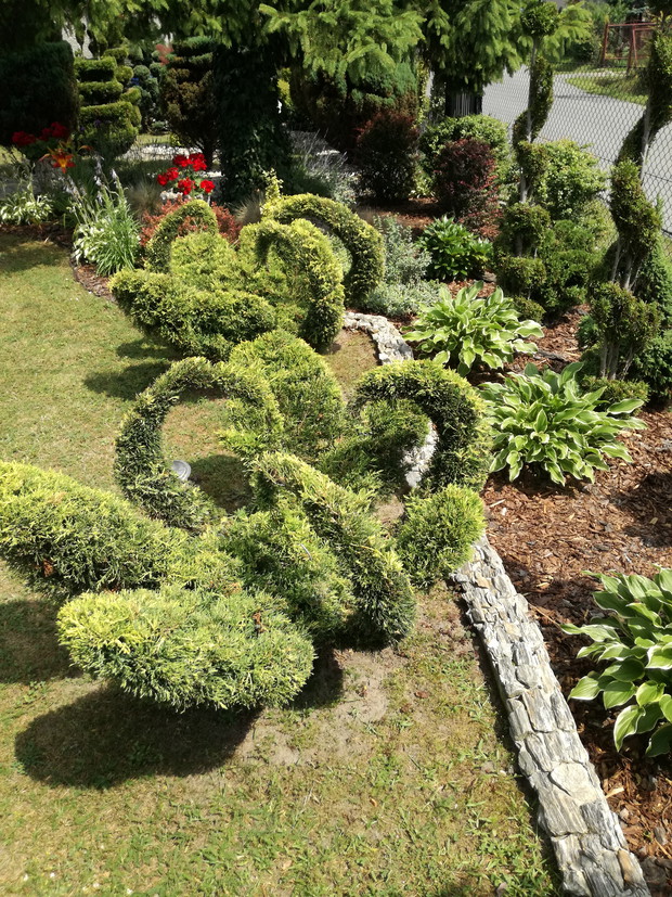 Moje ukochane łabędzie, które przyciągają najbardziej uwagę przechodniów.