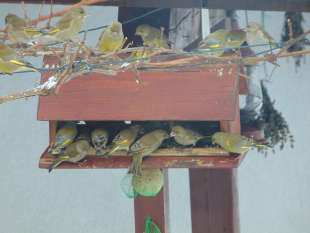 Nasi przyjaciele zawsze mogą liczyć na pełną miskę od Andrzeja