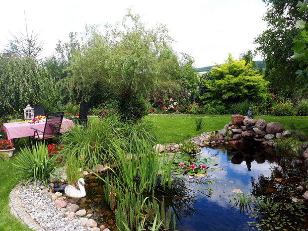 Oczko wodne z kolorowymi rybkami, żabkami.