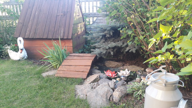 Oczko z mostkiem i studnią