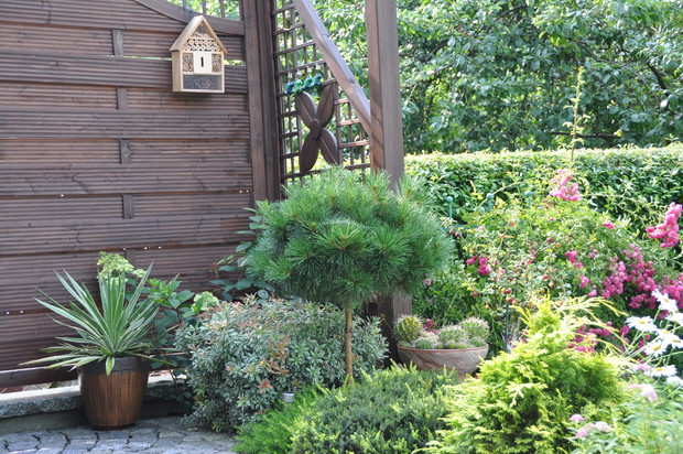 Oczywiście w naszym ogrodzie nie mogło zabraknąć miejsca na domek dla owadów :)