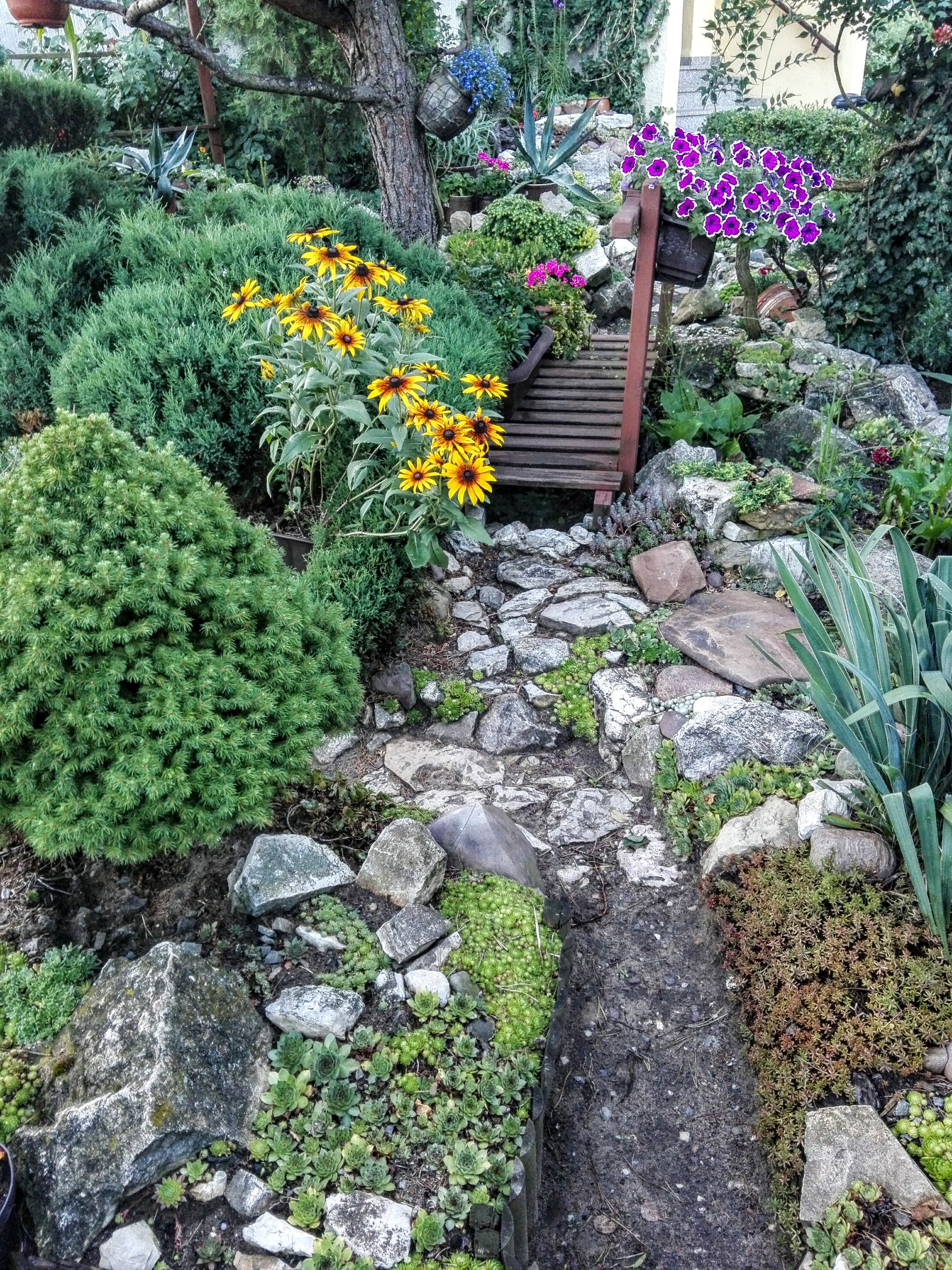 Ogród skalny pod blokiem 