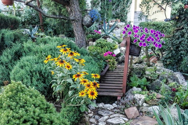 Ogród skalny pod blokiem