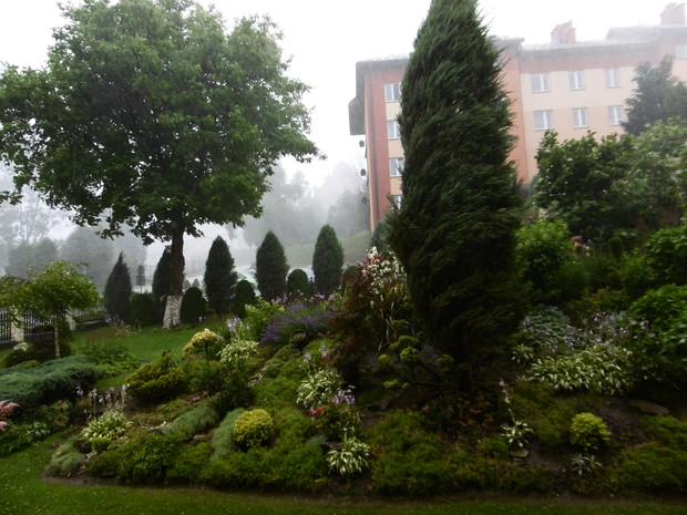 Ogród w deszczu pełen grozy.