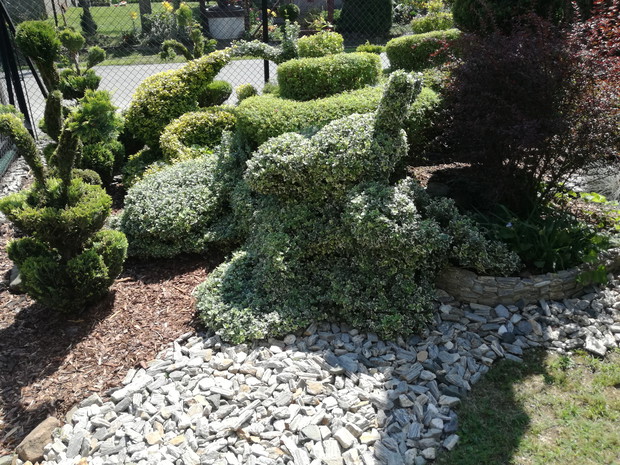 Piesek w ogrodzie uformowany z listków ozdobnych