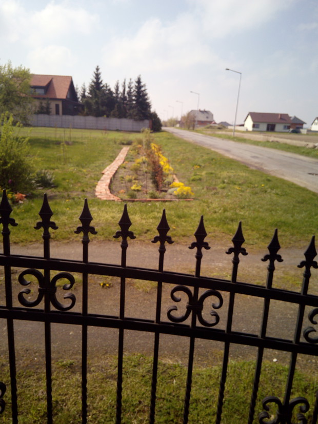 Początki ogrodu z boku domu