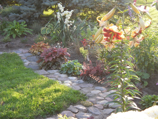 Promienie słońca odbite w lilii